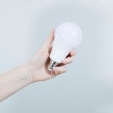 LED Light Bulb (Plastic + Aluminum Housing)